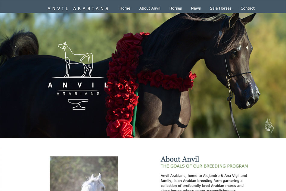 Anvil Arabians