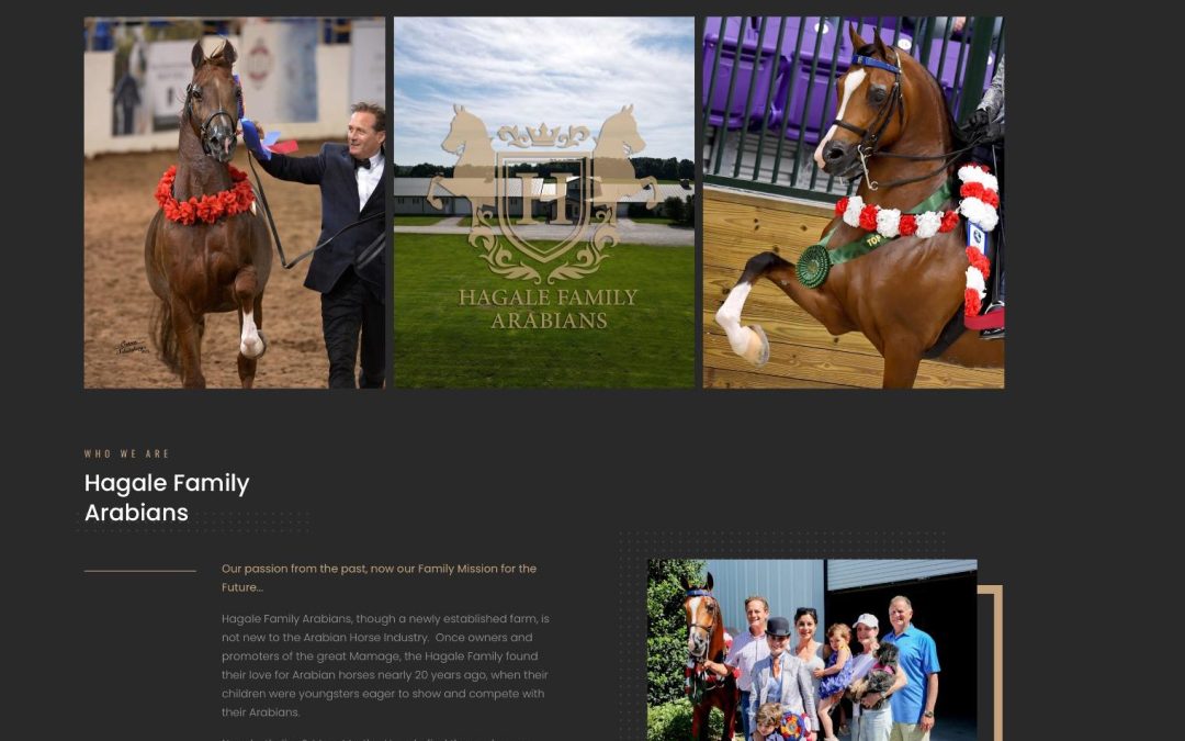 Hagale Family Arabians