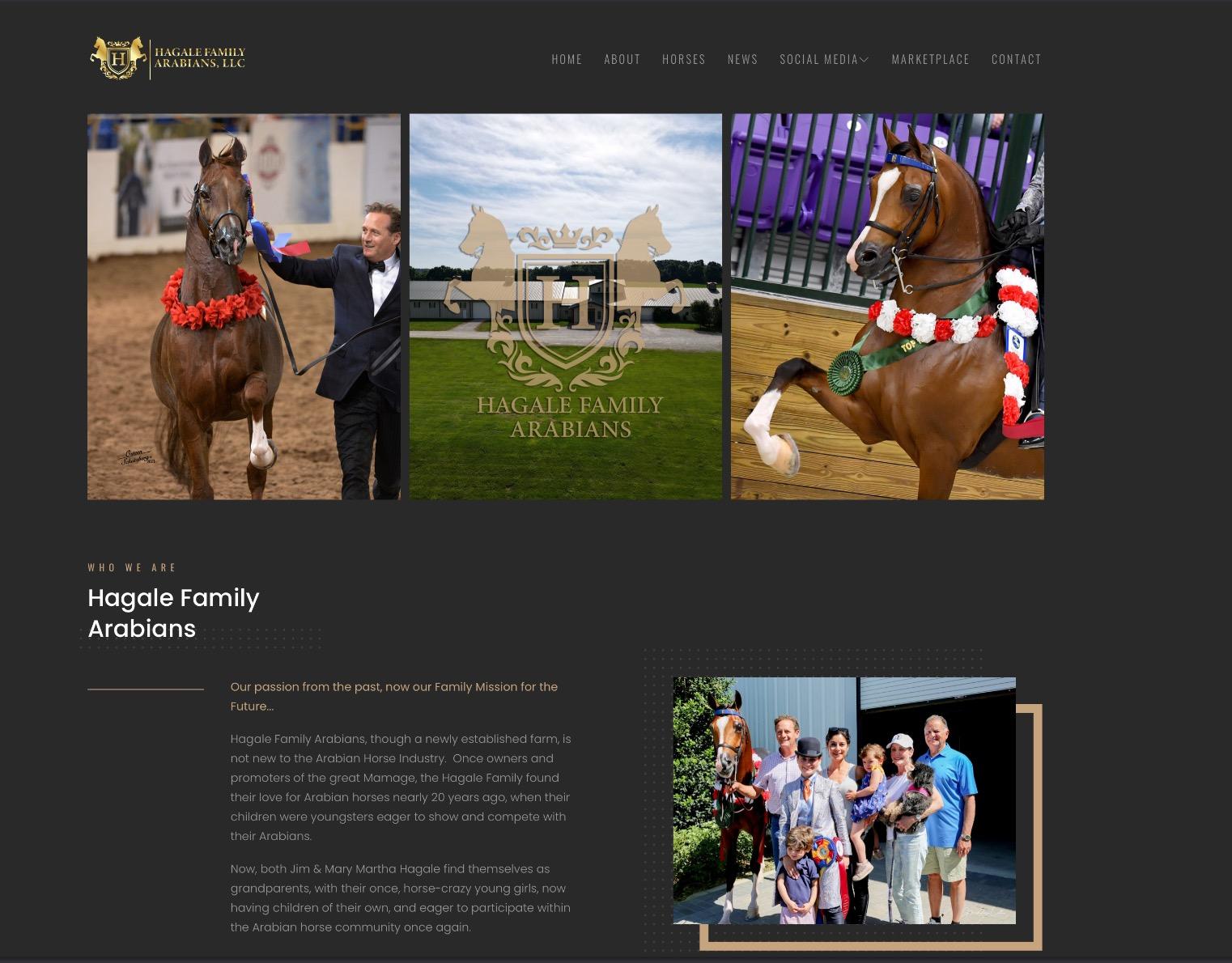 hagale family arabians hagale family arabians