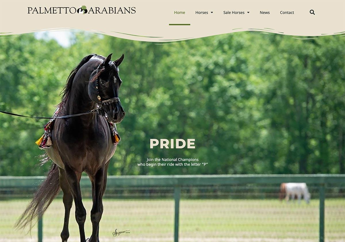 Palmetto Arabians Palmetto Arabians