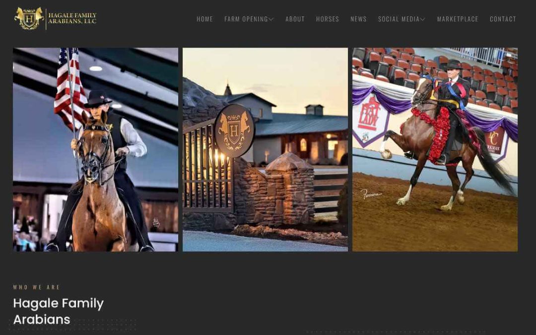 Hagale Family Arabians