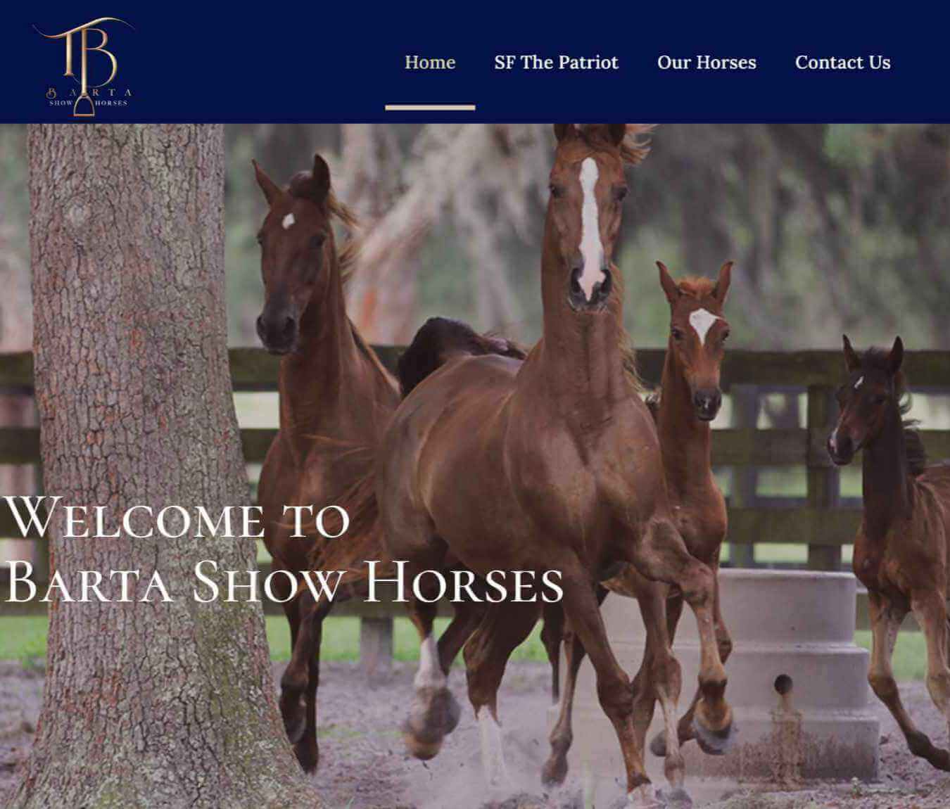 Barta Show Horses