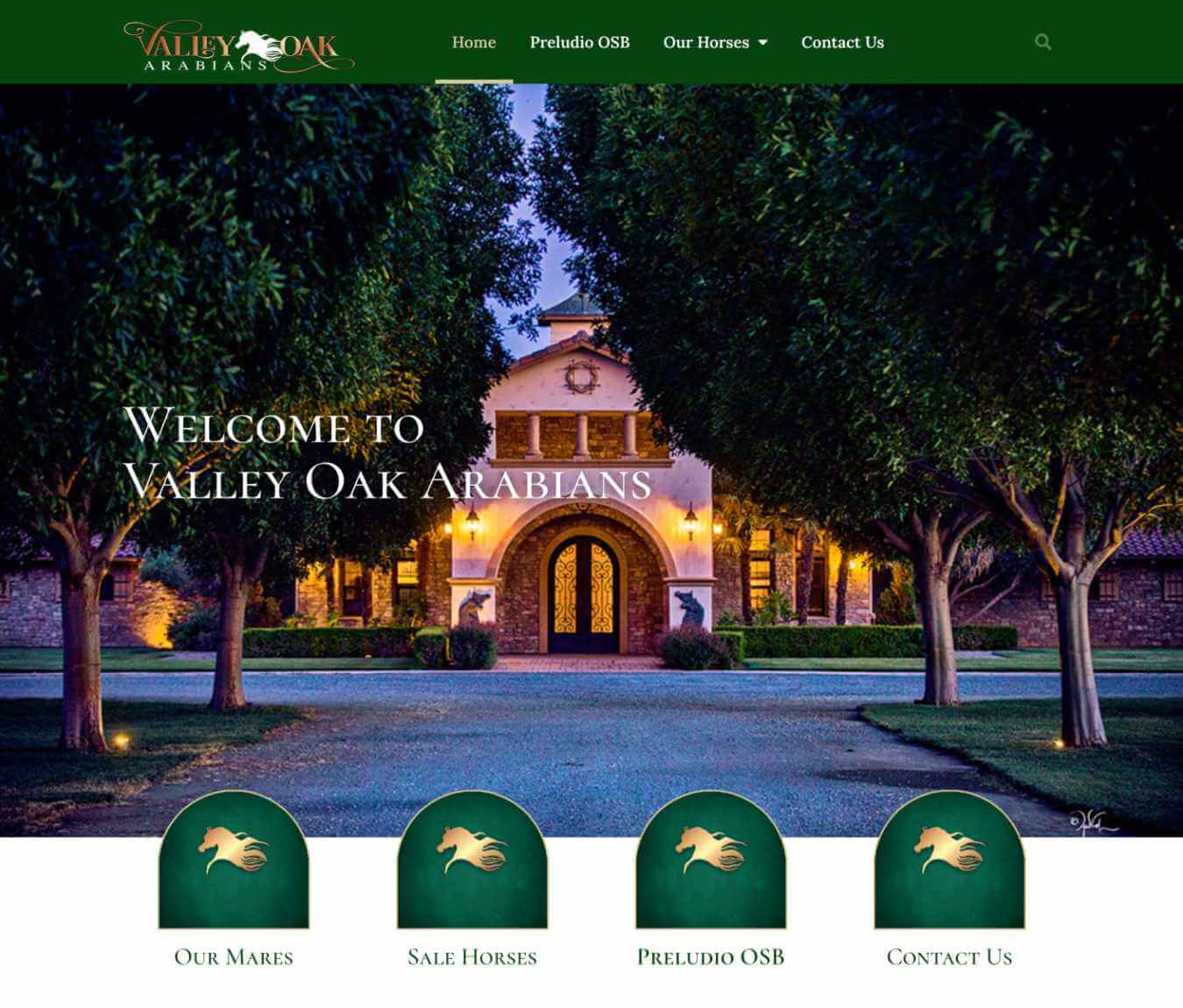 Valley Oaks Arabians